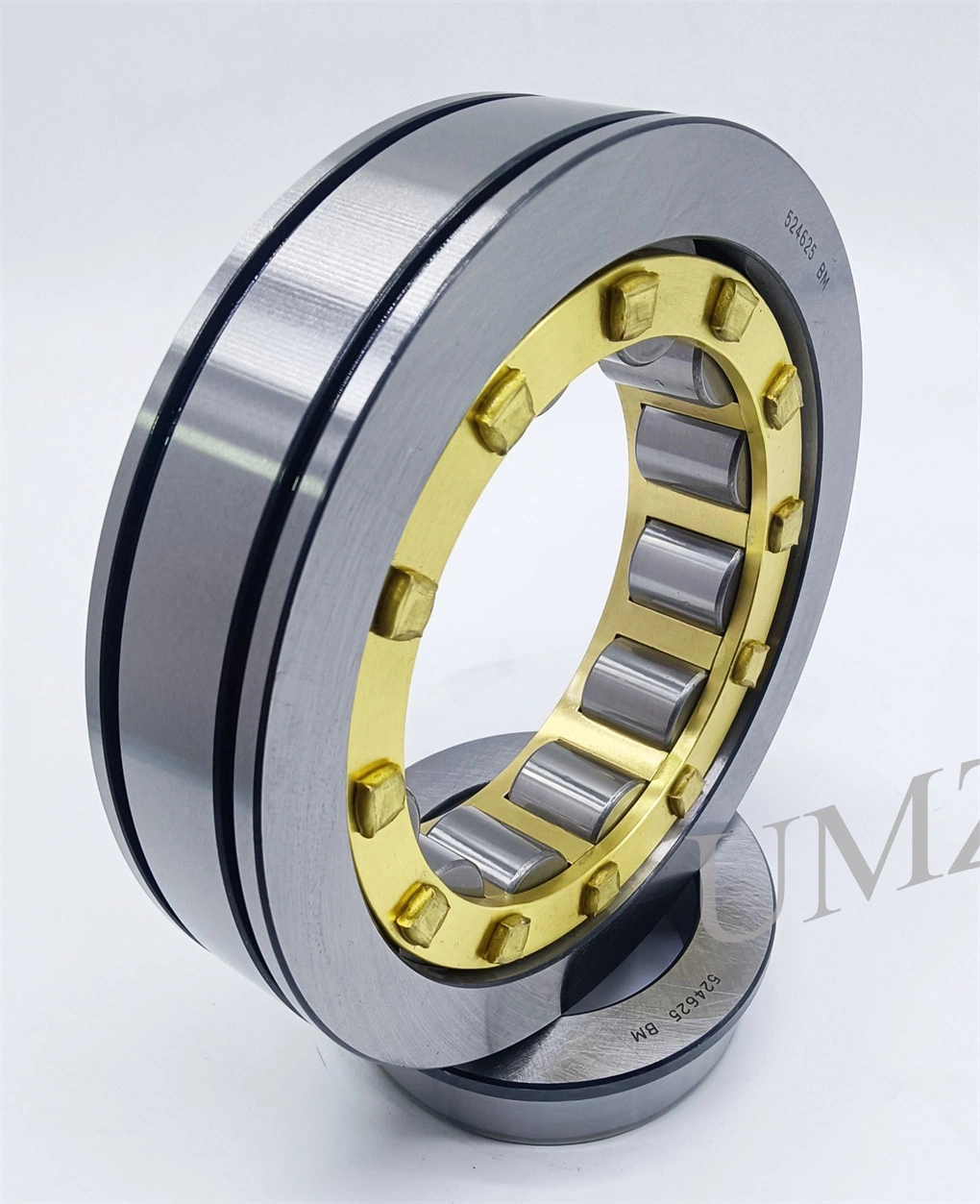 Hot Sale Gearbox Bearing 524625 539090m 512533 Cylindrical Roller Bearing with High Quality